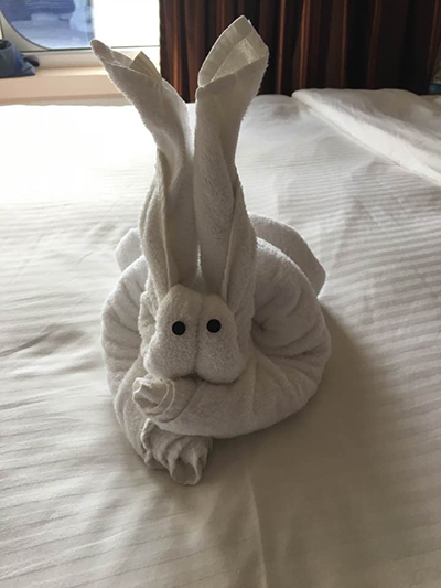 Towel Animal - Interior Design Western MA