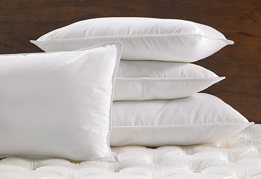 Hilton Feather Down Pillow - Bedroom Design Monson