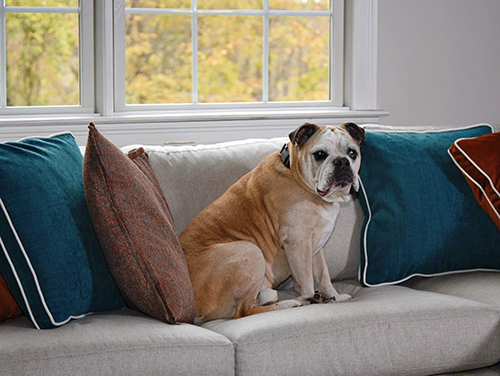 Dog Friendly Sofa - Dog safe Fabric - Pet Safe Fabric