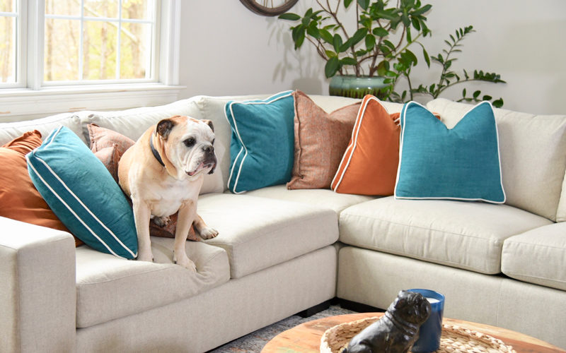 How to Make Your Home Pretty and Pet Safe