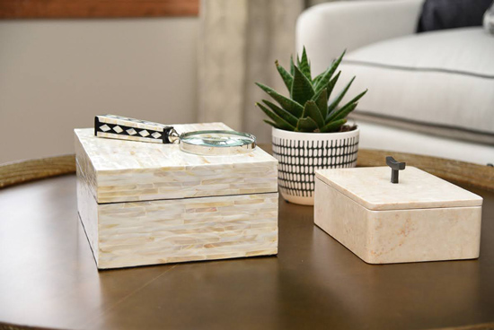 White bone decorative boxes - Succulent - One Piece of Furniture you need to have - Details Interiors